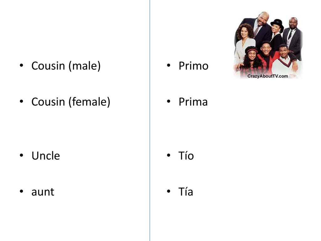 Cousin (male) Cousin (female) Uncle aunt Primo Prima Tío Tía