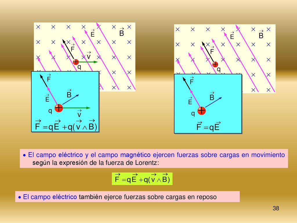 q q. q. q.  El campo eléctrico y el campo magnético ejercen fuerzas sobre cargas en movimiento según la expresión de la fuerza de Lorentz: