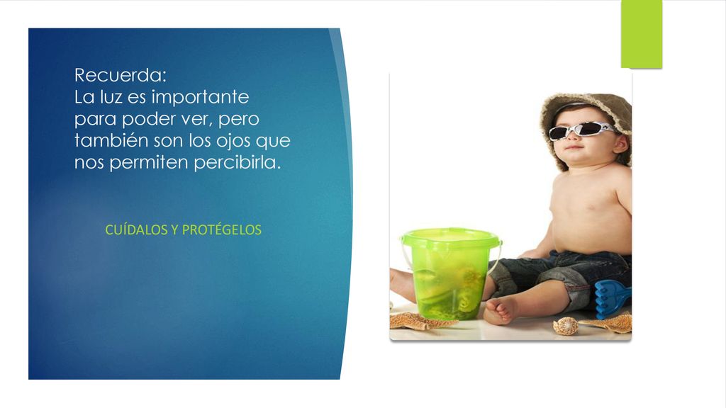 Recuerda: La luz es importante para poder ver, pero también son los ojos que nos permiten percibirla.