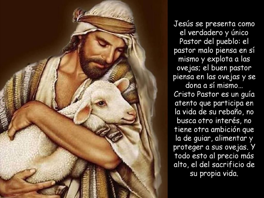 Jesús se presenta como el verdadero y único Pastor del pueblo: el pastor malo piensa en sí mismo y explota a las ovejas; el buen pastor piensa en las ovejas y se dona a sí mismo… Cristo Pastor es un guía atento que participa en la vida de su rebaño, no busca otro interés, no tiene otra ambición que la de guiar, alimentar y proteger a sus ovejas.