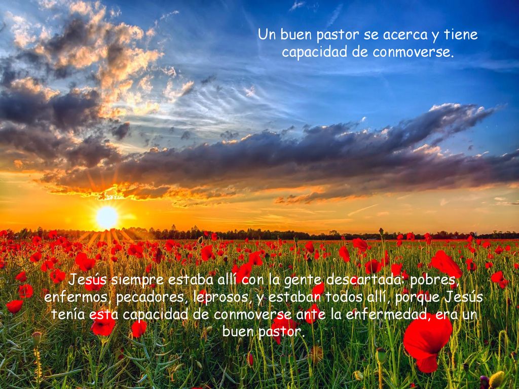 Un buen pastor se acerca y tiene capacidad de conmoverse.