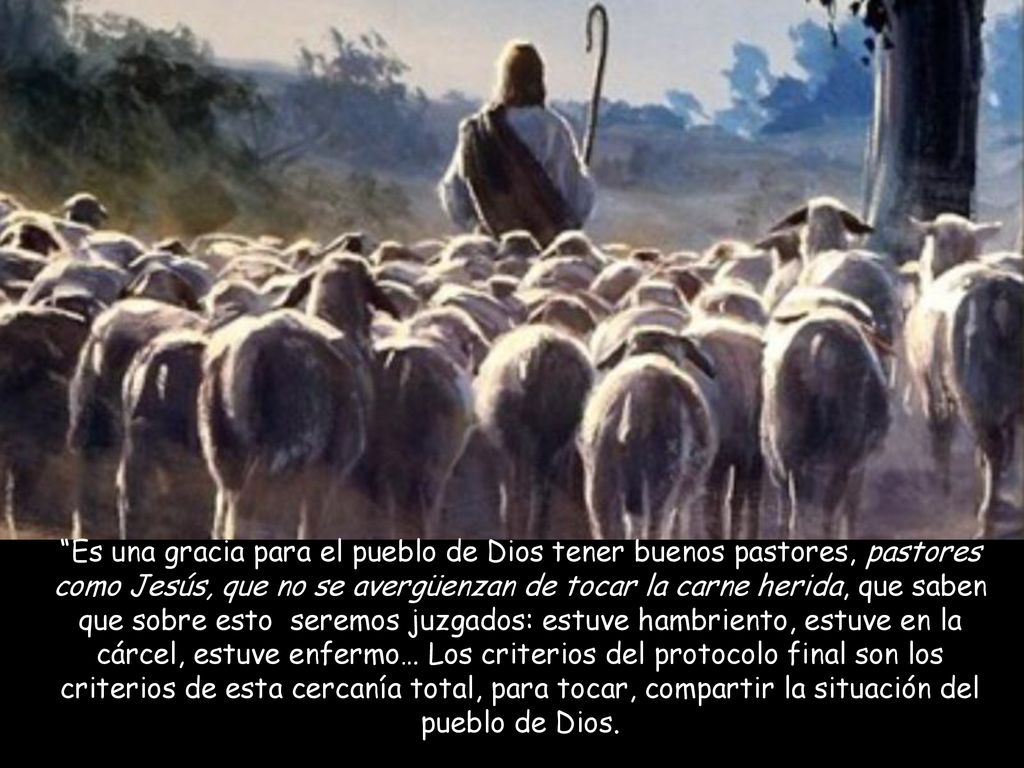 Es una gracia para el pueblo de Dios tener buenos pastores, pastores como Jesús, que no se avergüenzan de tocar la carne herida, que saben que sobre esto seremos juzgados: estuve hambriento, estuve en la cárcel, estuve enfermo… Los criterios del protocolo final son los criterios de esta cercanía total, para tocar, compartir la situación del pueblo de Dios.