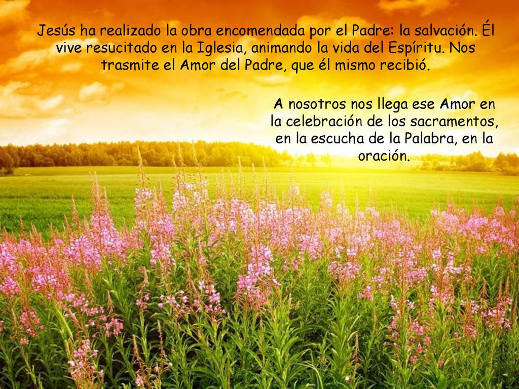 Jesús ha realizado la obra encomendada por el Padre: la salvación
