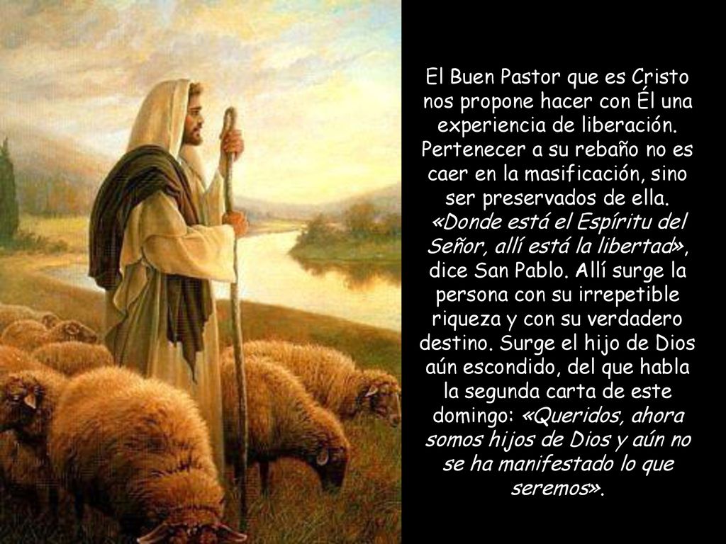 El Buen Pastor que es Cristo nos propone hacer con Él una experiencia de liberación.