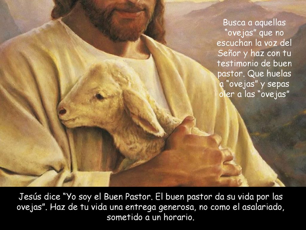 Busca a aquellas ovejas que no escuchan la voz del Señor y haz con tu testimonio de buen pastor. Que huelas a ovejas y sepas oler a las ovejas