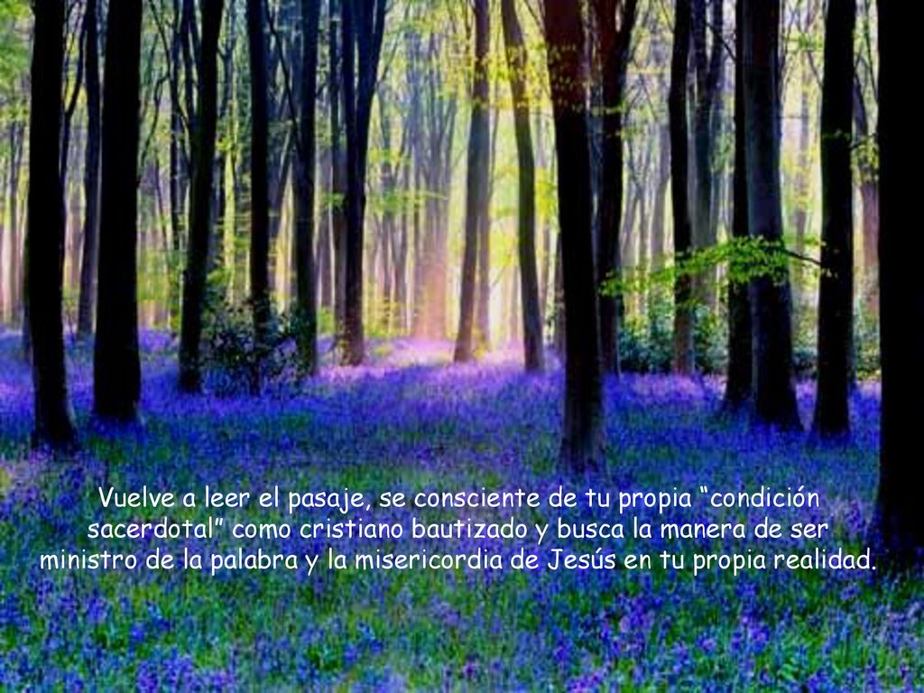 Vuelve a leer el pasaje, se consciente de tu propia condición sacerdotal como cristiano bautizado y busca la manera de ser ministro de la palabra y la misericordia de Jesús en tu propia realidad.