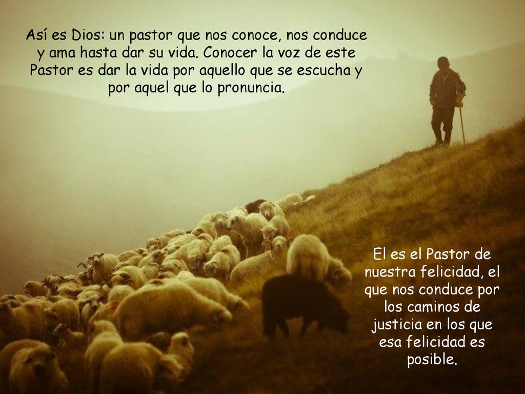 Así es Dios: un pastor que nos conoce, nos conduce y ama hasta dar su vida. Conocer la voz de este Pastor es dar la vida por aquello que se escucha y por aquel que lo pronuncia.