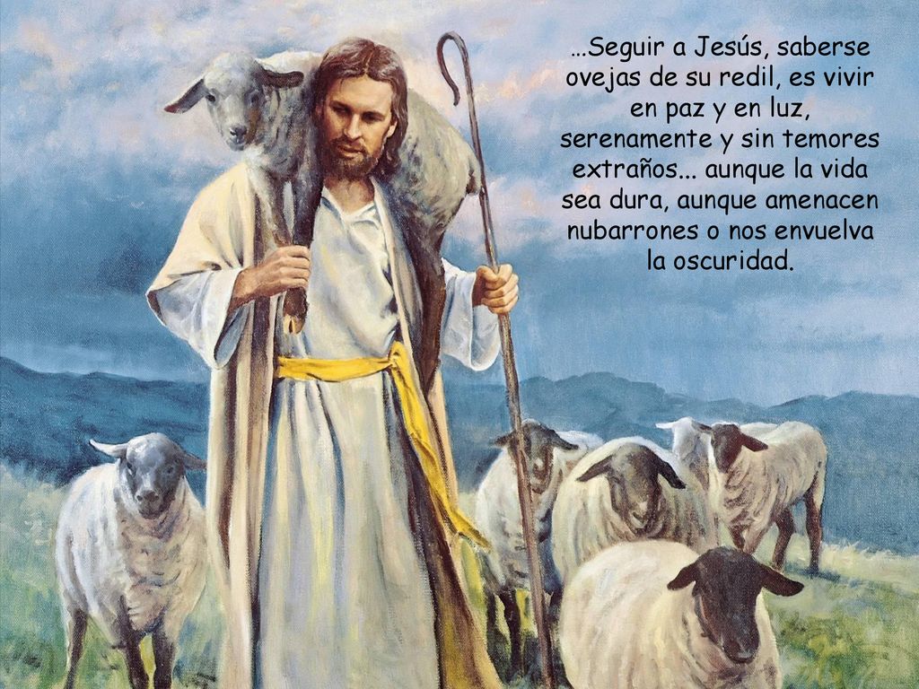 …Seguir a Jesús, saberse ovejas de su redil, es vivir en paz y en luz, serenamente y sin temores extraños...