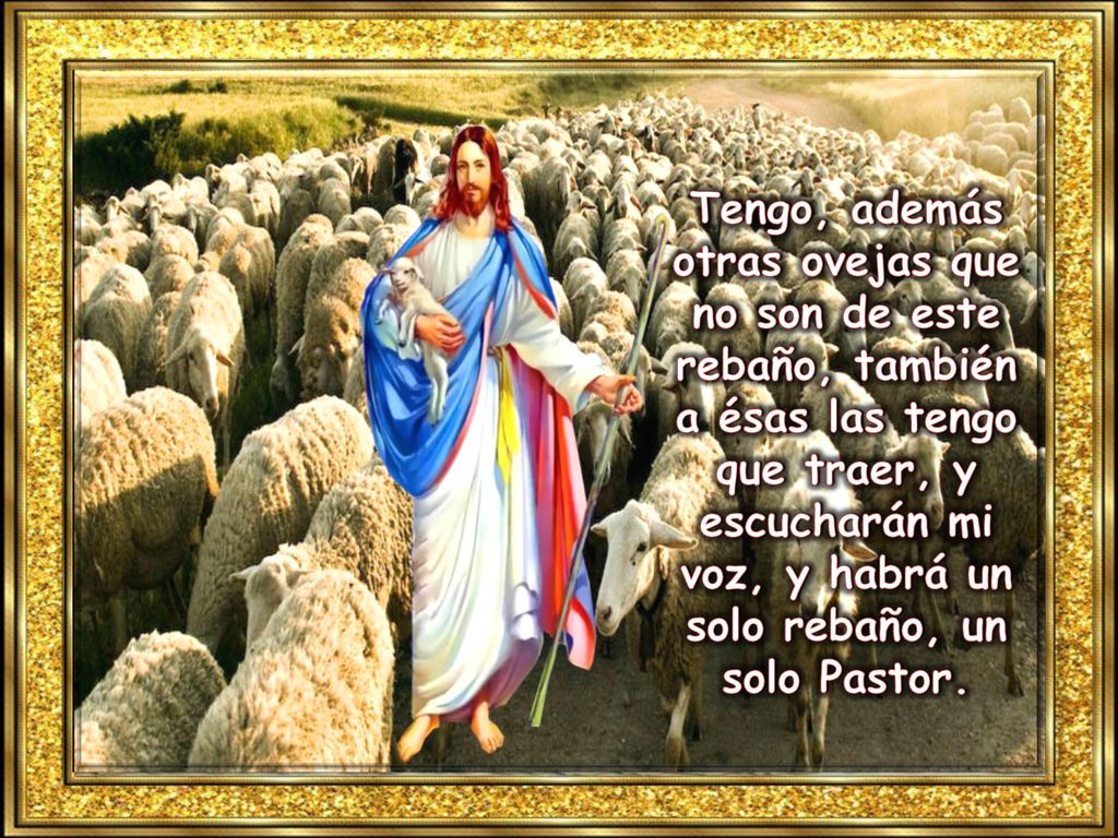 Tengo, además otras ovejas que no son de este rebaño, también a ésas las tengo que traer, y escucharán mi voz, y habrá un solo rebaño, un solo Pastor.