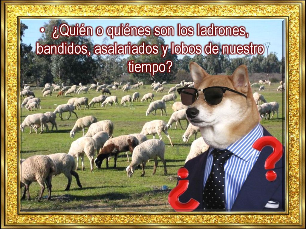 • ¿Quién o quiénes son los ladrones, bandidos, asalariados y lobos de nuestro tiempo