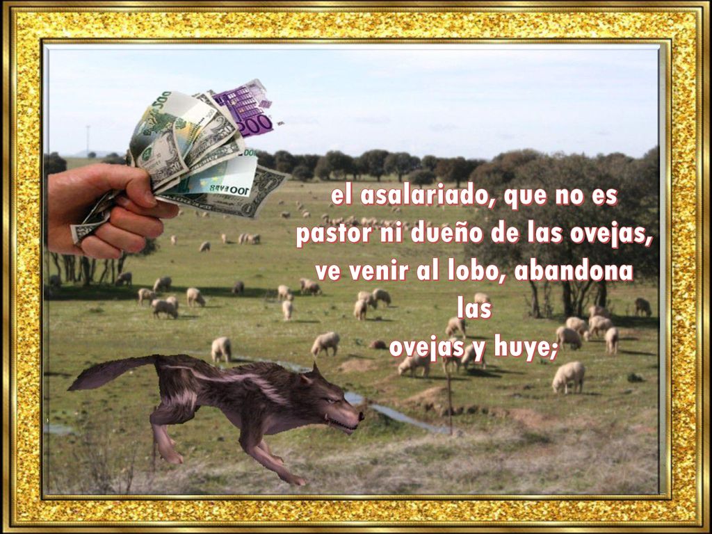 el asalariado, que no es pastor ni dueño de las ovejas, ve venir al lobo, abandona las