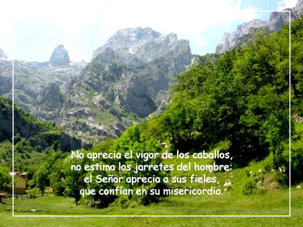 No aprecia el vigor de los caballos, no estima los jarretes del hombre: el Señor aprecia a sus fieles, que confían en su misericordia.