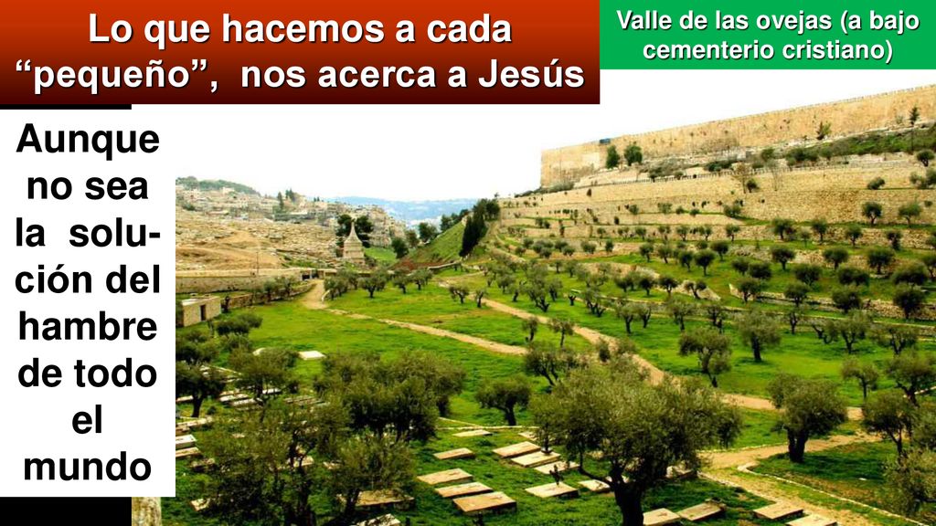 Aunque no sea la solu-ción del hambre de todo el mundo
