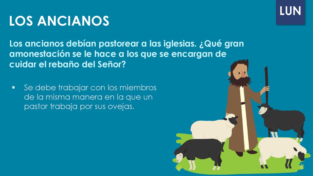 LOS ANCIANOS Los ancianos debían pastorear a las iglesias. ¿Qué gran amonestación se le hace a los que se encargan de cuidar el rebaño del Señor
