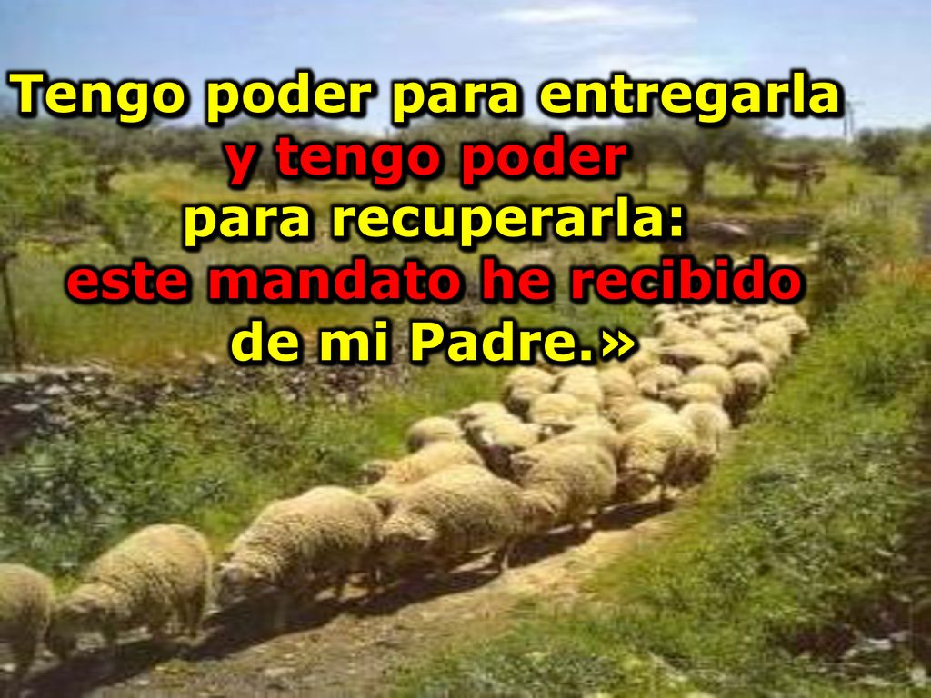 Tengo poder para entregarla y tengo poder este mandato he recibido