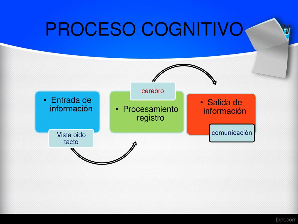 PROCESO COGNITIVO Entrada de información Salida de información