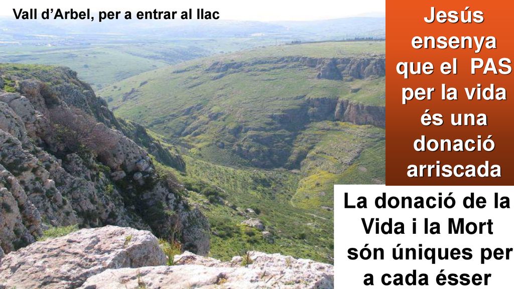Jesús ensenya que el PAS per la vida és una donació arriscada