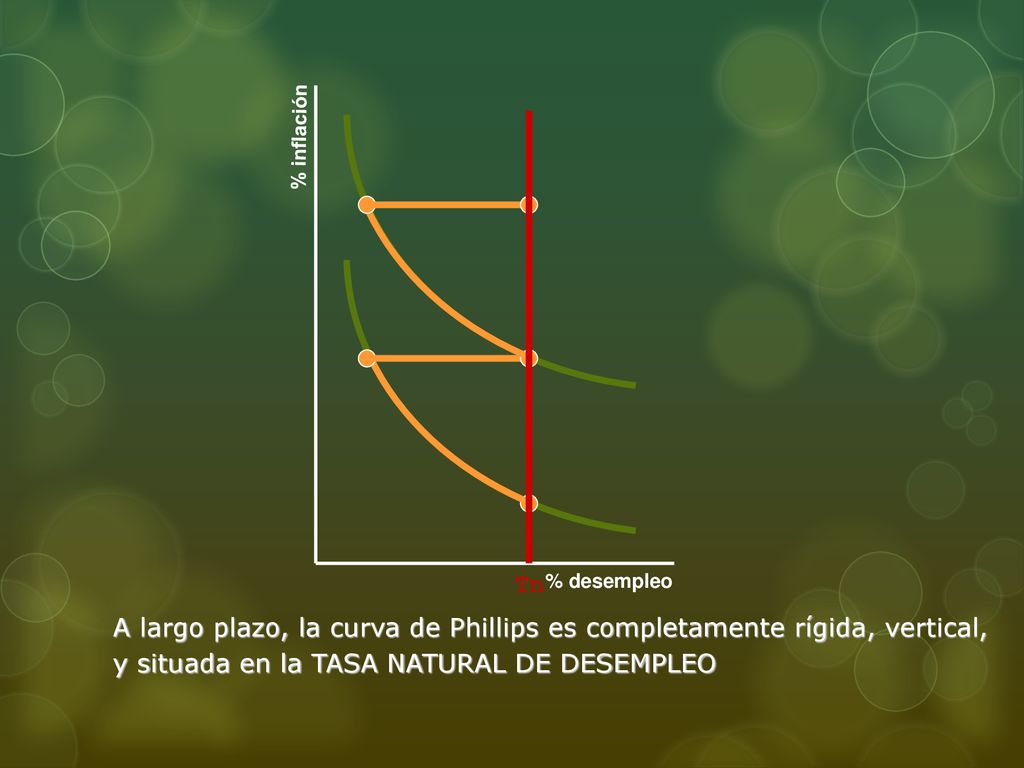A largo plazo, la curva de Phillips es completamente rígida, vertical,