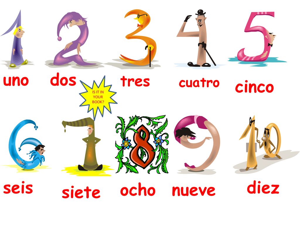 uno dos cinco seis diez ocho nueve siete tres cuatro