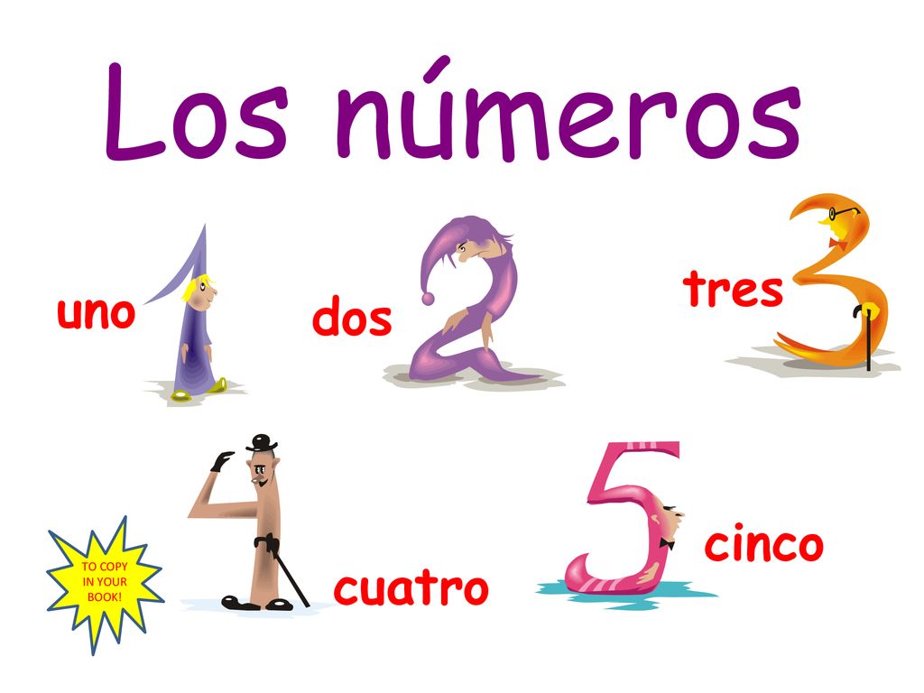 Los números tres uno dos cinco TO COPY IN YOUR BOOK! cuatro