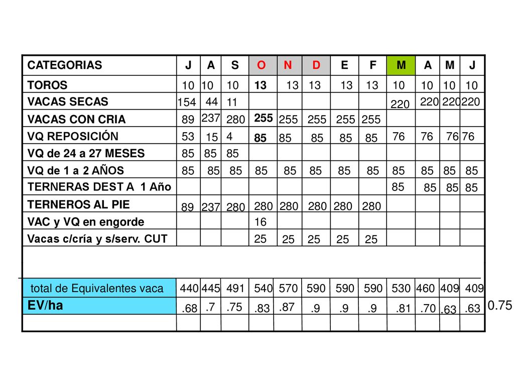 EV/ha CATEGORIAS J A S O N D E F M A M J TOROS