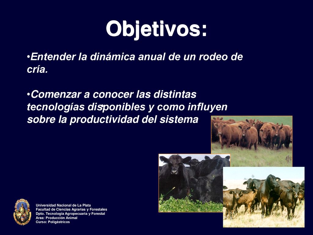 Objetivos: Entender la dinámica anual de un rodeo de cría.