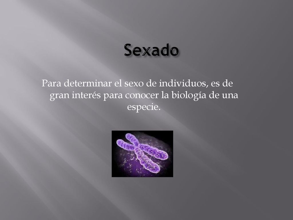Sexado Para determinar el sexo de individuos, es de gran interés para conocer la biología de una especie.