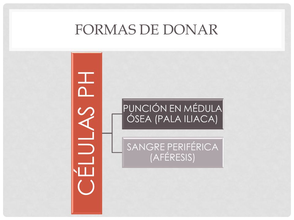 CÉLULAS PH FORMAS DE DONAR PUNCIÓN EN MÉDULA ÓSEA (PALA ILIACA)