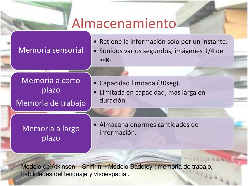 Almacenamiento Memoria sensorial Memoria a corto plazo
