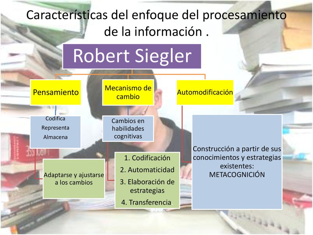 Características del enfoque del procesamiento de la información .