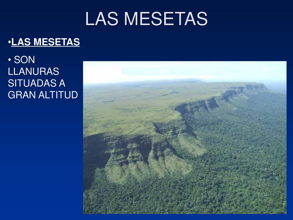LAS MESETAS LAS MESETAS SON LLANURAS SITUADAS A GRAN ALTITUD