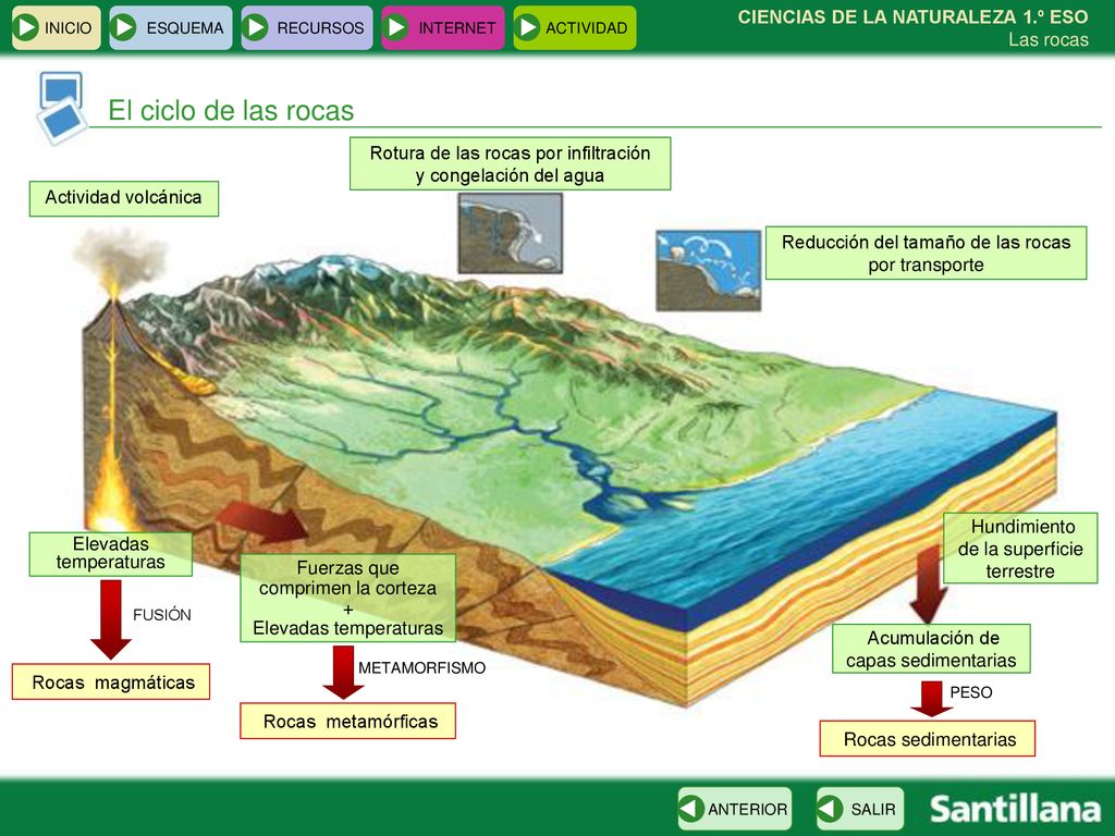 El ciclo de las rocas Rotura de las rocas por infiltración