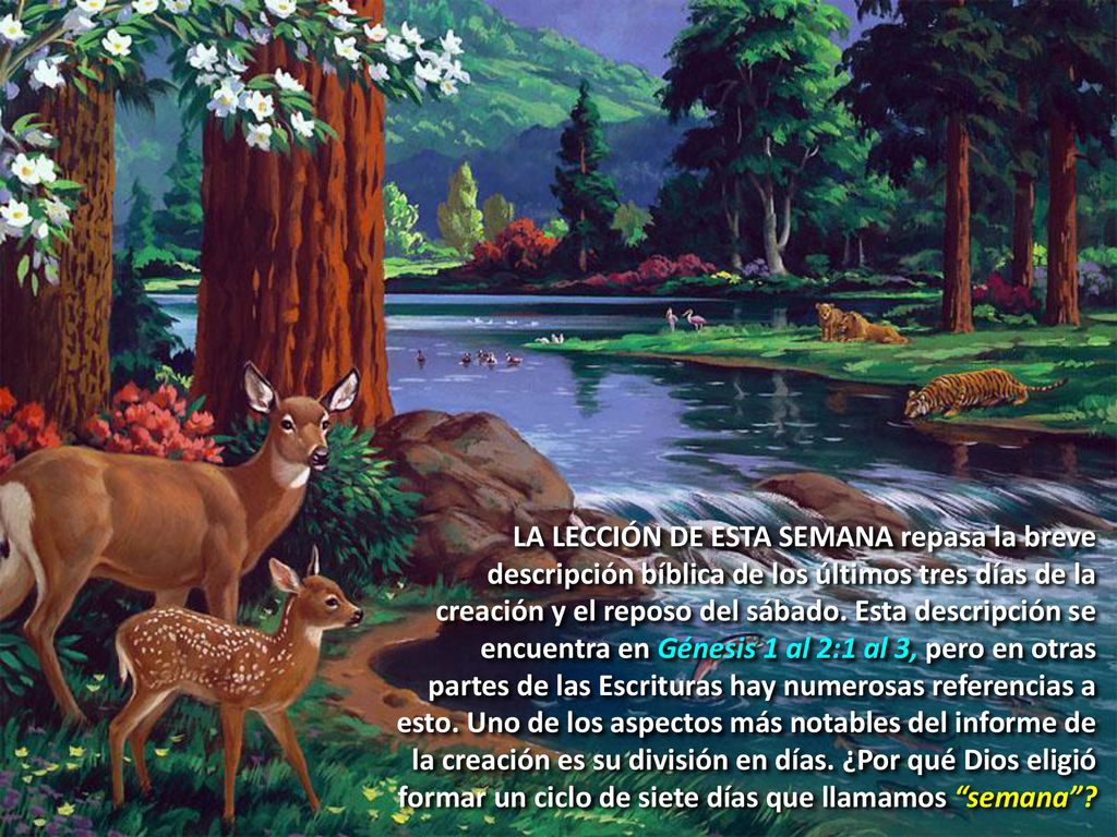 LA LECCIÓN DE ESTA SEMANA repasa la breve descripción bíblica de los últimos tres días de la creación y el reposo del sábado.