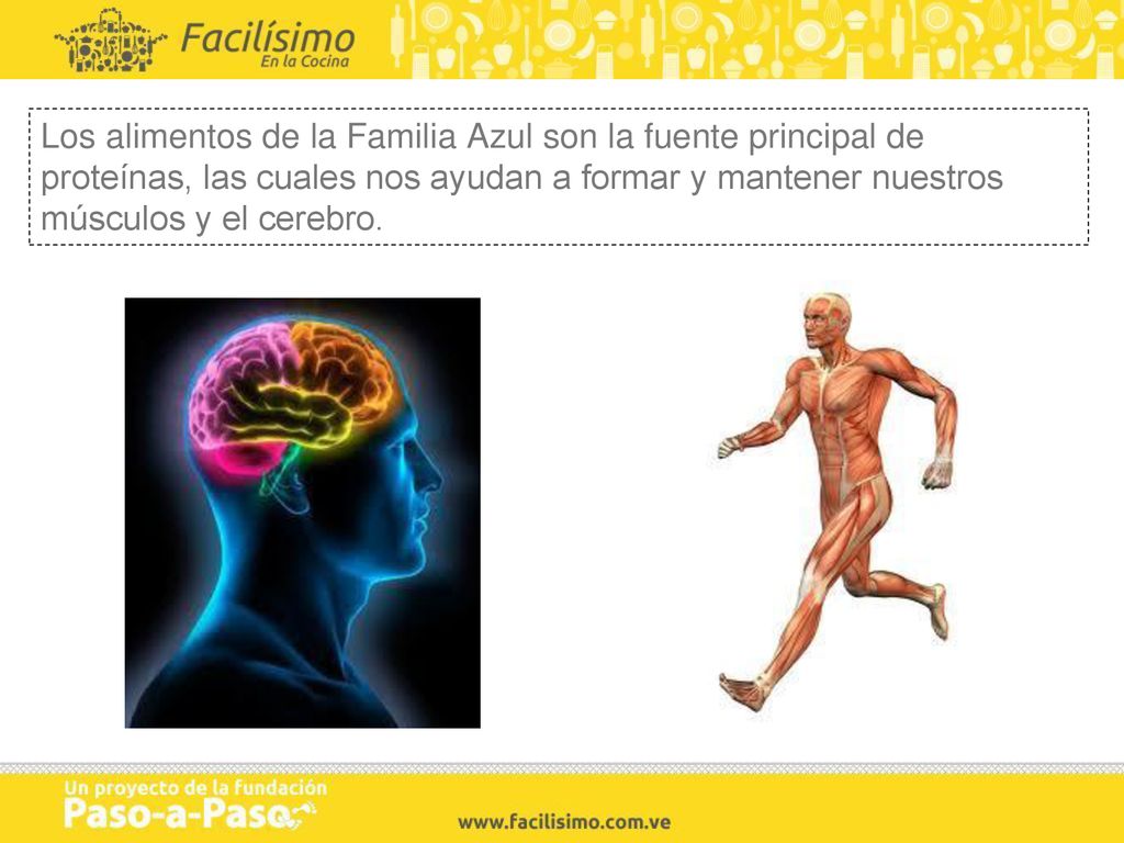 Los alimentos de la Familia Azul son la fuente principal de proteínas, las cuales nos ayudan a formar y mantener nuestros músculos y el cerebro.