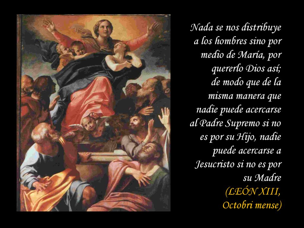 Nada se nos distribuye a los hombres sino por medio de María, por quererlo Dios así;