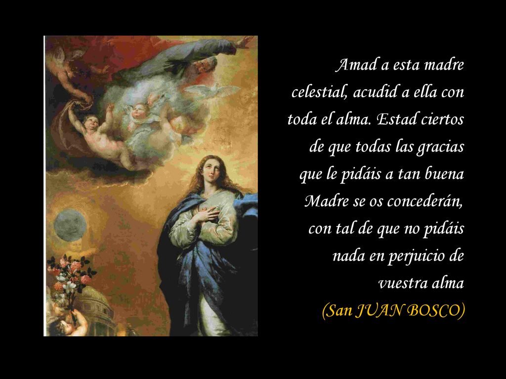 Amad a esta madre celestial, acudid a ella con toda el alma