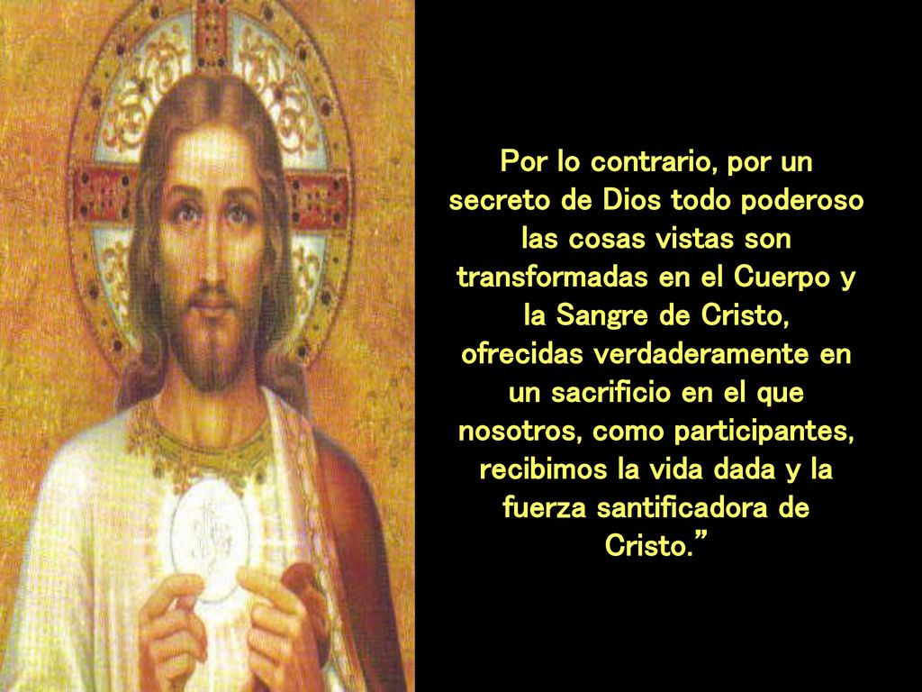 recibimos la vida dada y la fuerza santificadora de Cristo.