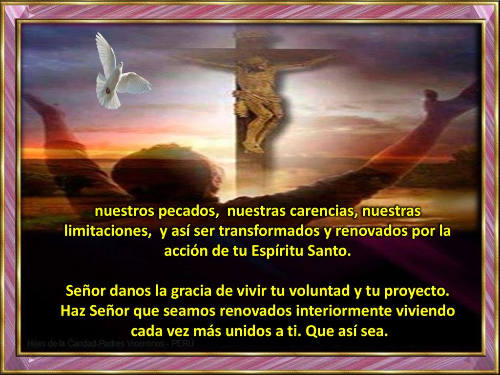 Señor danos la gracia de vivir tu voluntad y tu proyecto.