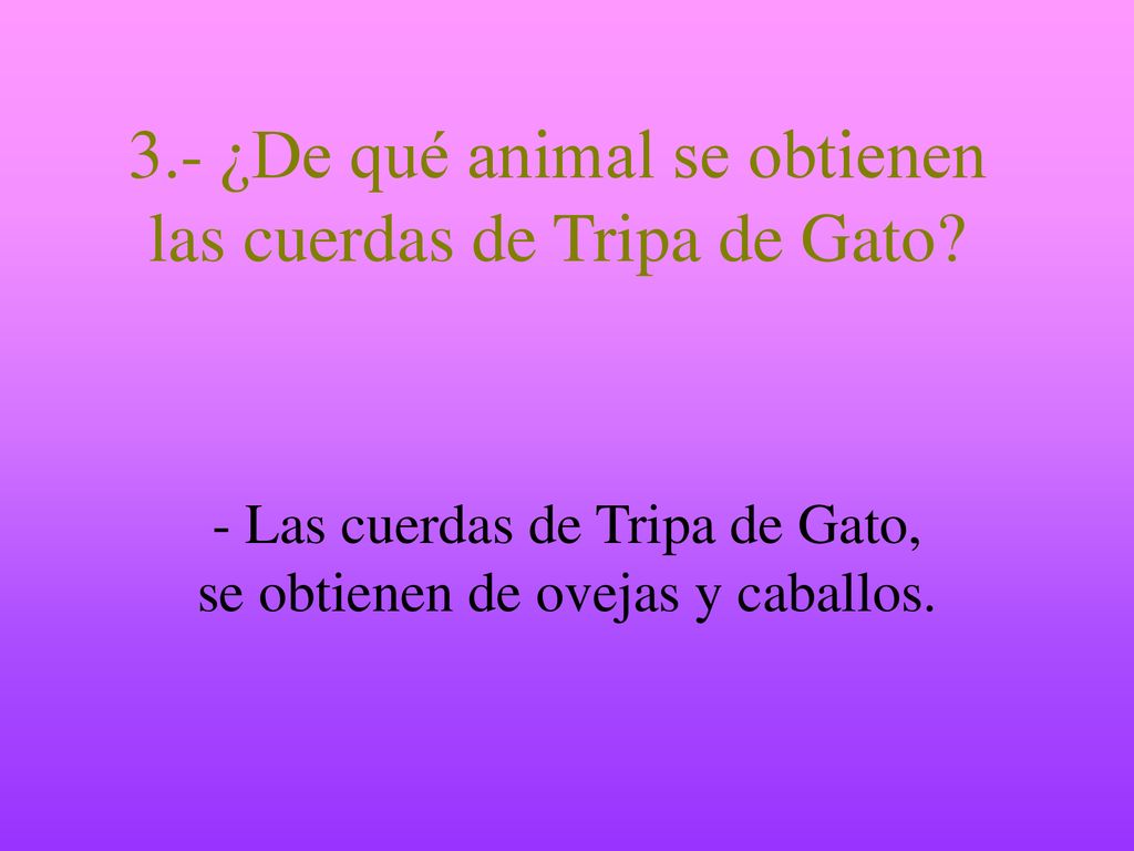 3.- ¿De qué animal se obtienen las cuerdas de Tripa de Gato