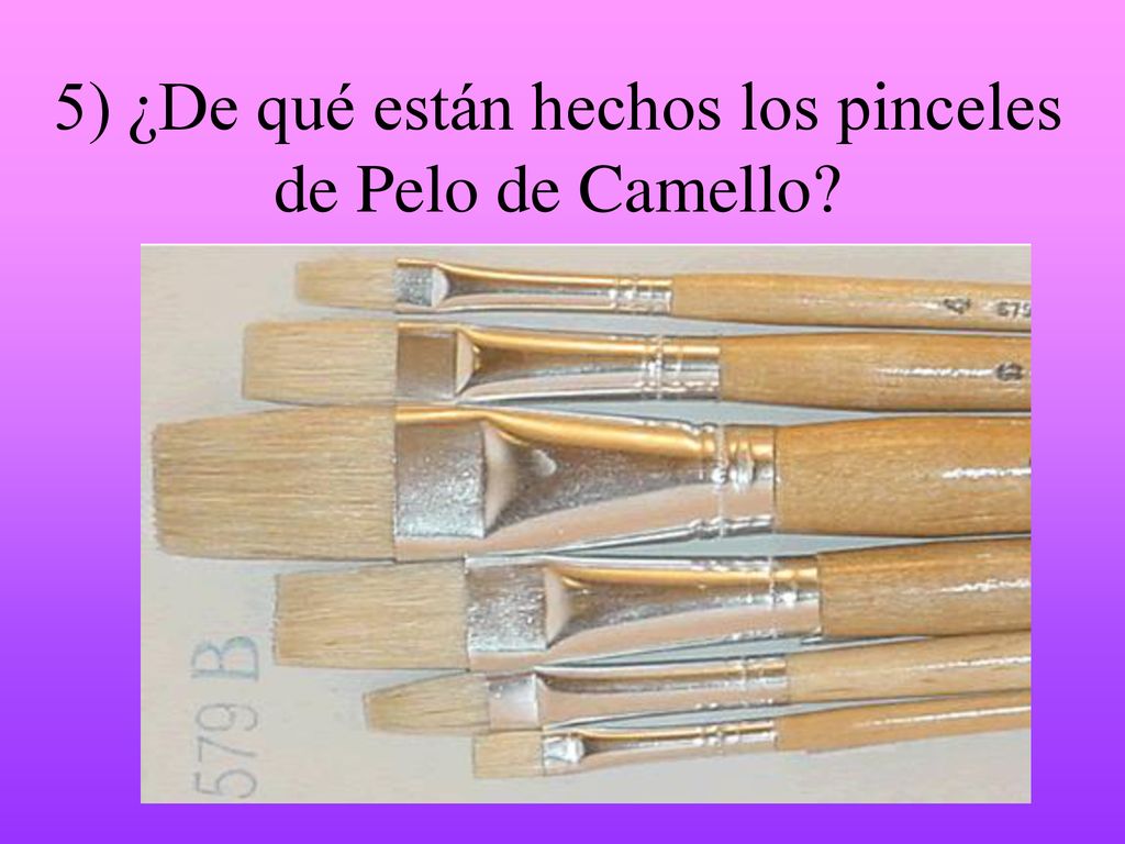5) ¿De qué están hechos los pinceles de Pelo de Camello