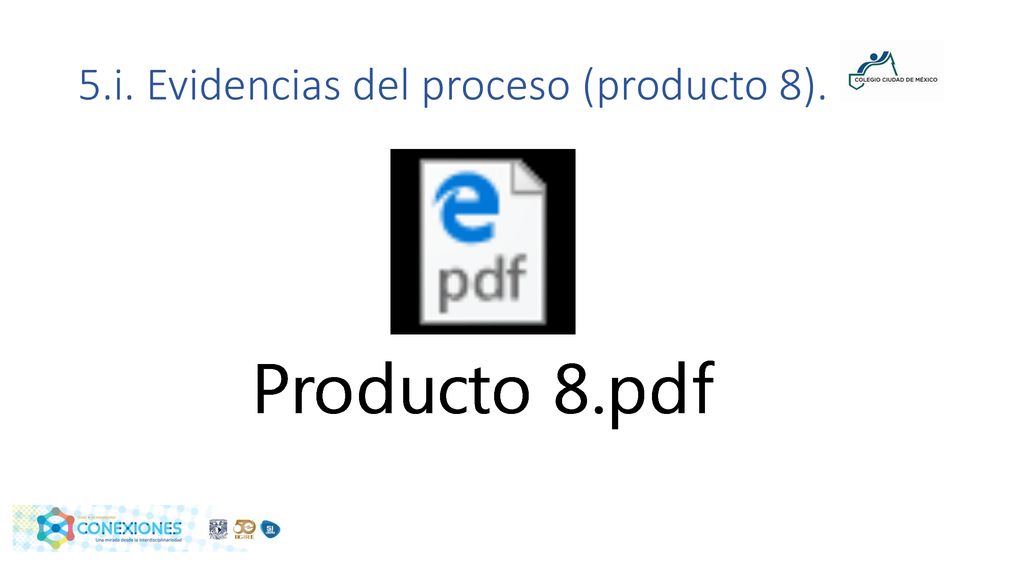 5.i. Evidencias del proceso (producto 8).