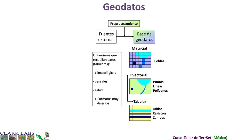 Geodatos Fuentes externas Base de geodatos Matricial Vectorial Tabular