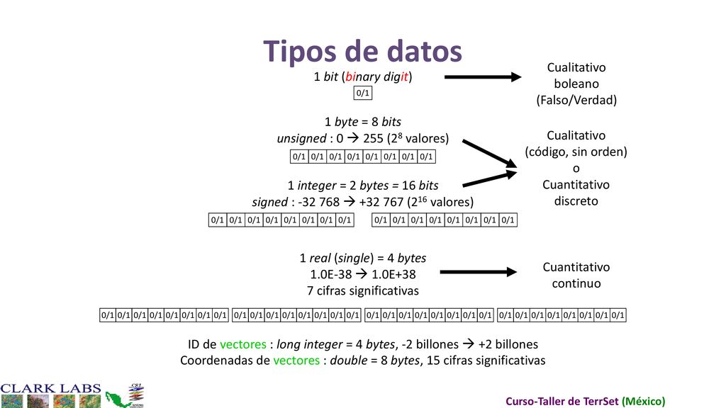 Tipos de datos Cualitativo 1 bit (binary digit) boleano (Falso/Verdad)