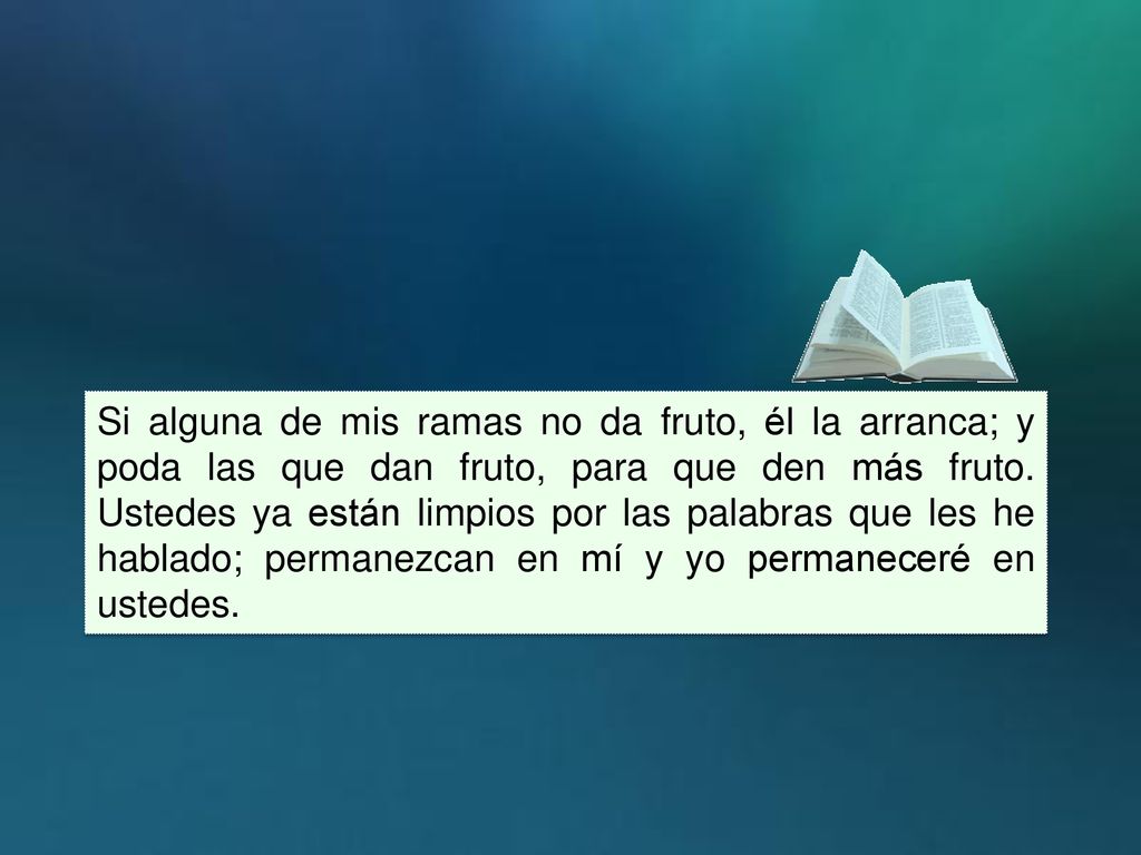 Si alguna de mis ramas no da fruto, él la arranca; y poda las que dan fruto, para que den más fruto.