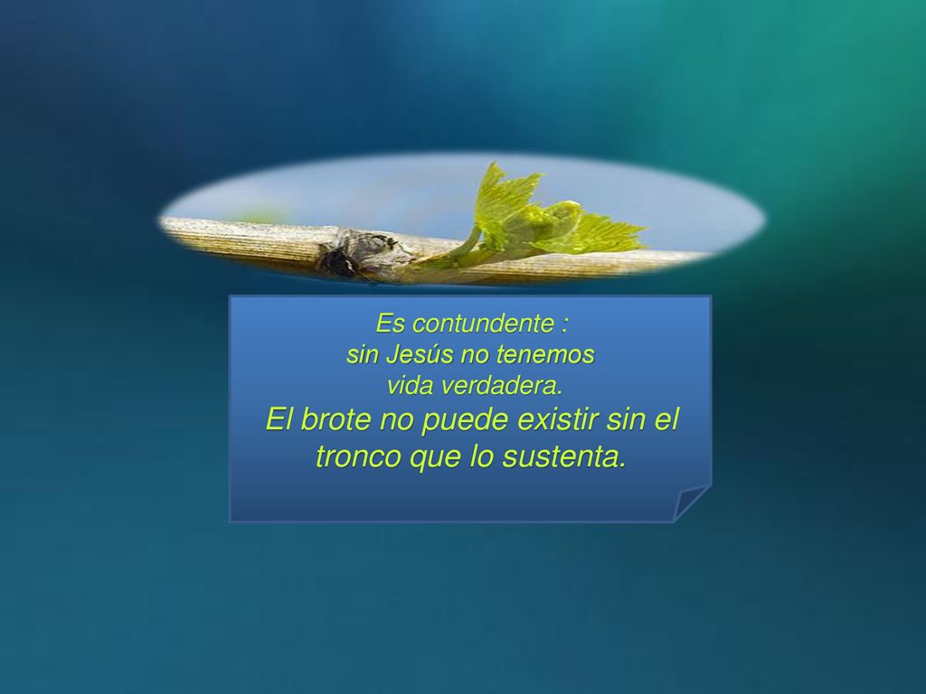 El brote no puede existir sin el tronco que lo sustenta.