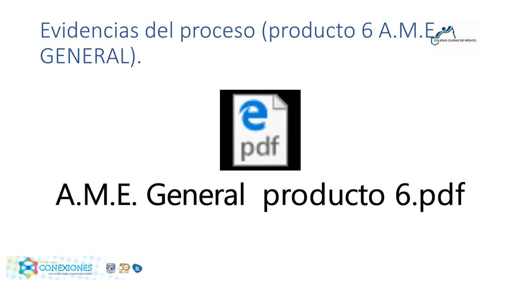 Evidencias del proceso (producto 6 A.M.E GENERAL).