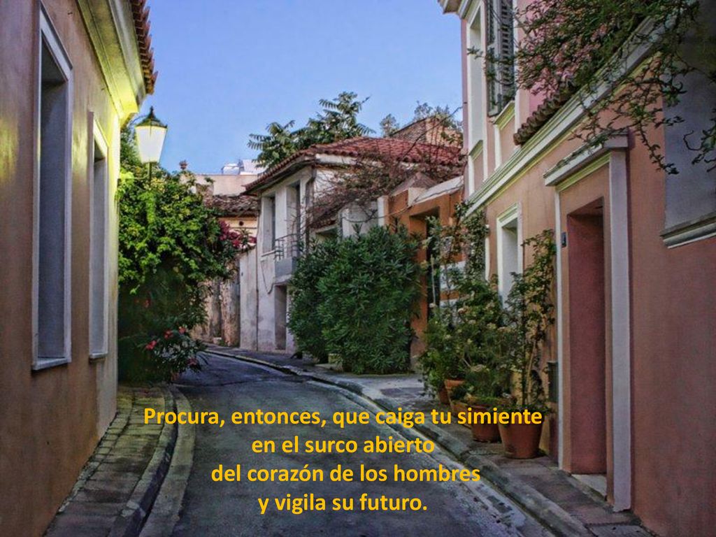 Procura, entonces, que caiga tu simiente del corazón de los hombres