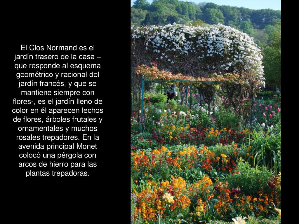El Clos Normand es el jardín trasero de la casa –que responde al esquema geométrico y racional del jardín francés, y que se mantiene siempre con flores-, es el jardín lleno de color en él aparecen lechos de flores, árboles frutales y ornamentales y muchos rosales trepadores.