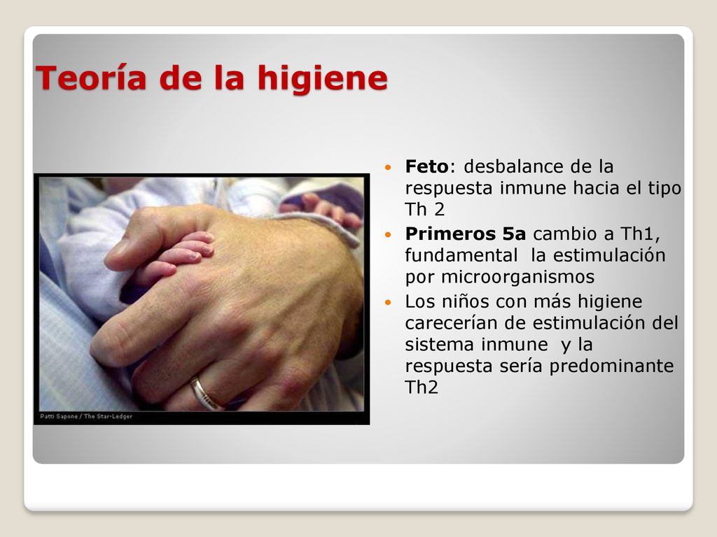 Teoría de la higiene Feto: desbalance de la respuesta inmune hacia el tipo Th 2.