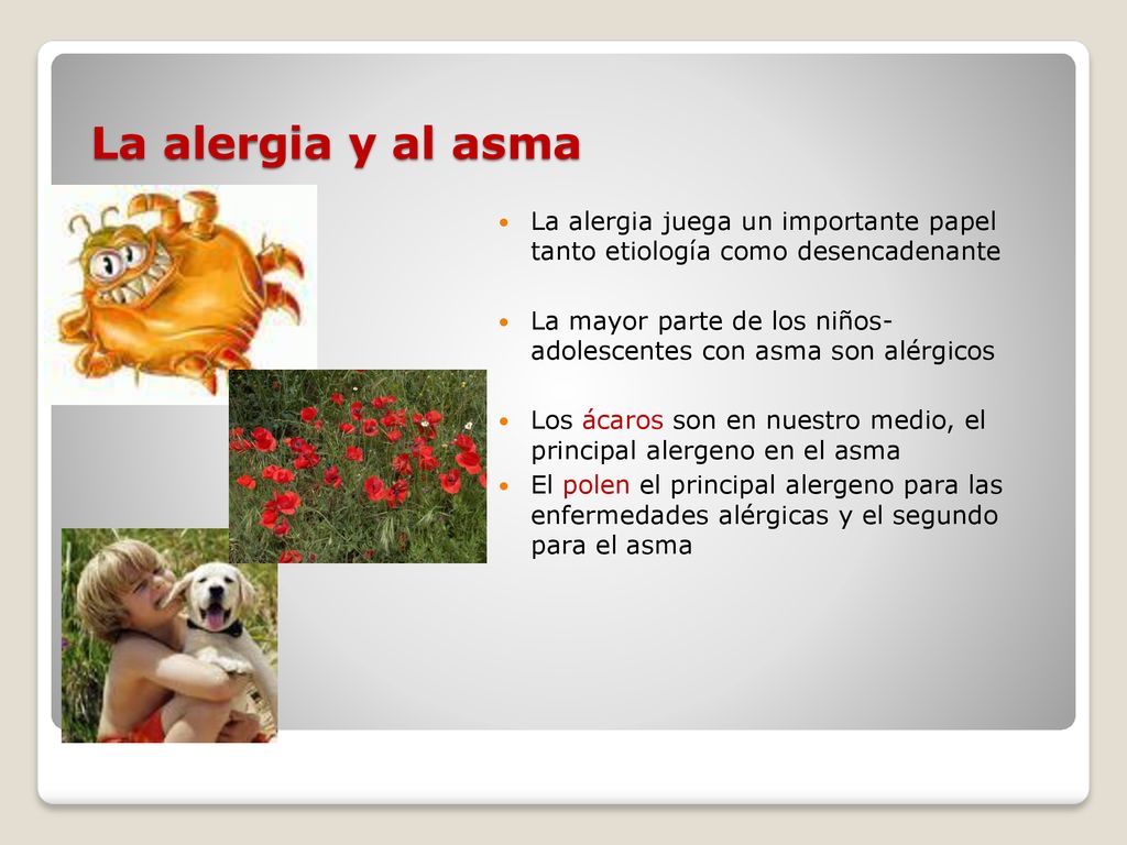 La alergia y al asma La alergia juega un importante papel tanto etiología como desencadenante.